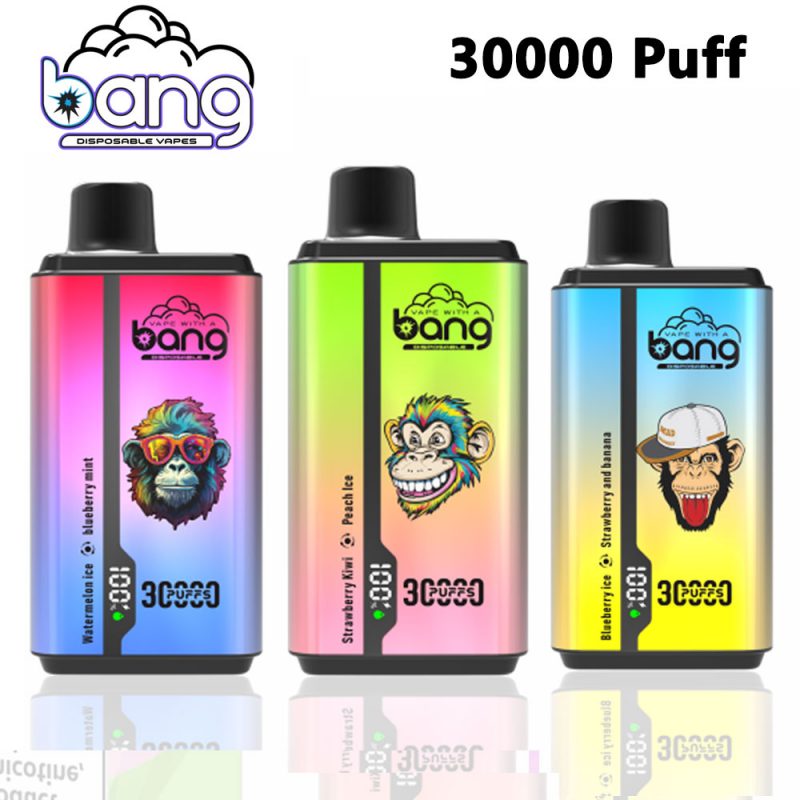 bang 30000 puffs double flavors