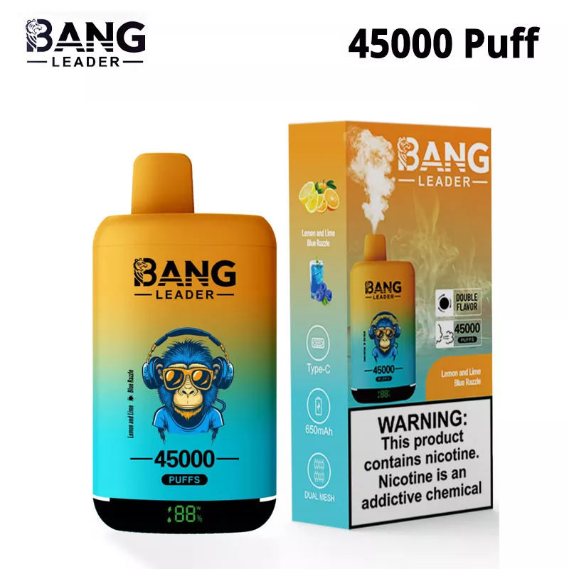 bang leader 45k 45000 puffs dual flavors